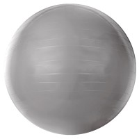 Bola de Ginástica Gym Ball 55cm Acte