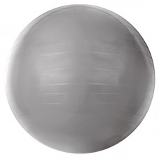 Bola de Ginástica Gym Ball 55cm Acte